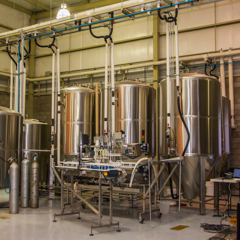 Tour Cervecero – Planta Buqui Bichi Brewing